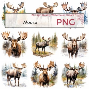 Moose Clipart, High Quality PNG, Woodland Animals Clipart, Forest Watercolor Clipart, Animal Art Sublimation, Card making, Instant download