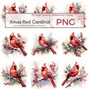 Weihnachten rot Kardinal Clipart, hohe Qualität PNG, digitaler Download, kommerzielle Nutzung, Weihnachtscliparts, Feiertagsgrafiken, Weihnachtskardinal PNG