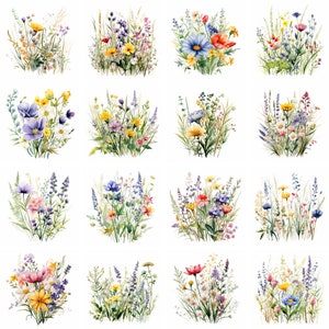 20 Imágenes prediseñadas florales de flores silvestres, imágenes prediseñadas botánicas, arte de pared floral de flores silvestres, lindo, imprimibles, diario, scrapbooking, descarga digital