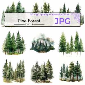 Aquarel Pine Forest Clipart, Pine Tree Clipart, Woodland Tree, Boslandschap, Boom Graphics JPG, Commercieel Gebruik, JPG Digitale download