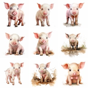 20 Piglet Watercolor Clip art, high quality png, adorable farm animal pig clipart, print Printables, journal, scrapbooking, digital download