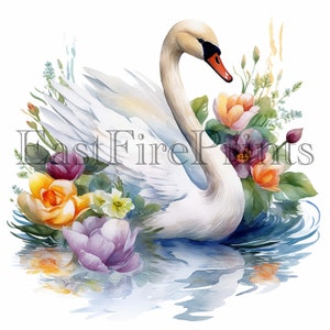 20 Watercolor Swan Clipart PNG | Baby Swan, Bird, Nursery, Printable ...