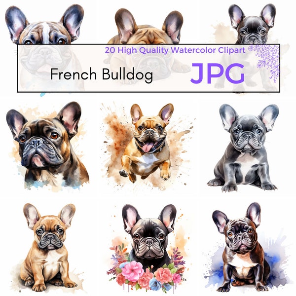 Watercolor French Bulldog Clipart, High Quality JPG, Cute Frenchie Clipart, Puppy Clipart, Cute Dog JPG, Instant Download, Commercial Use