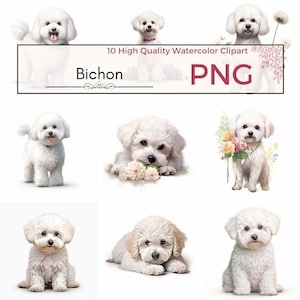 Set of 10 - Bichon Dog Clipart, Bichon Illustrations, Card Making, Dog , Dog Digital Prints, High Quality PNG, Download, Commercial Use