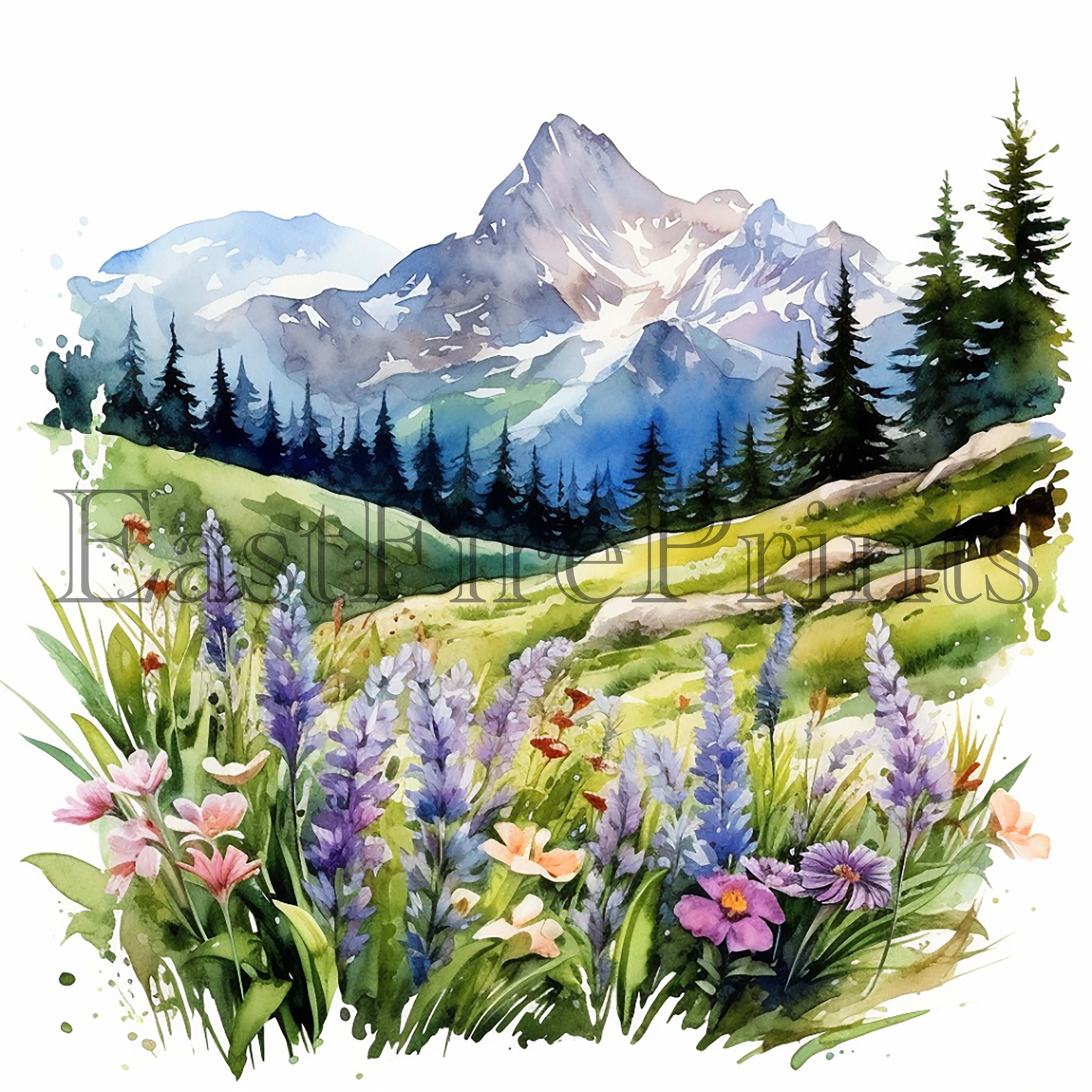 Watercolor Meadow Clipart Spring Clipart Summer Clipart - Etsy