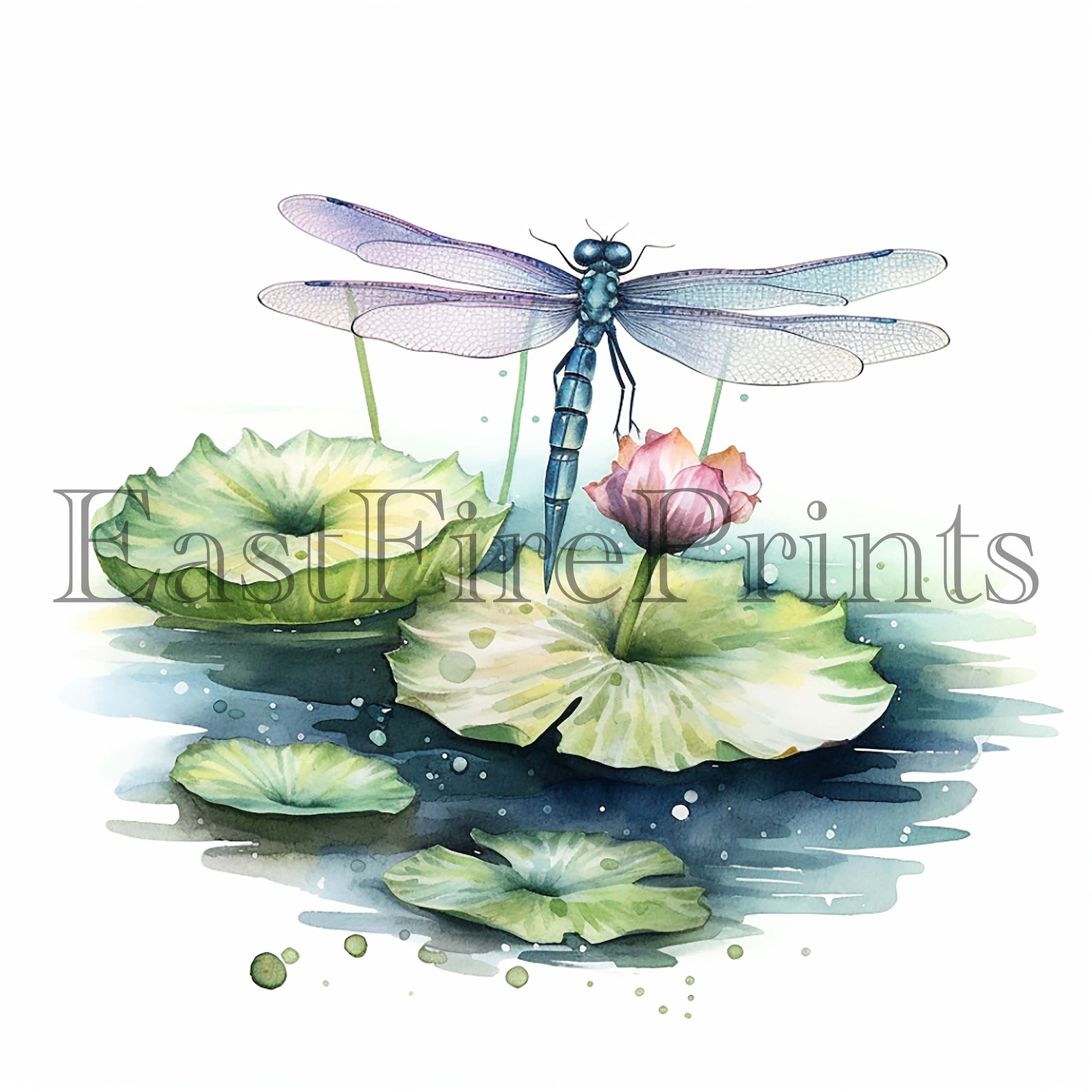 20 Watercolor Lily Pads Clipart PNG Springtime Cute Lily Pad - Etsy