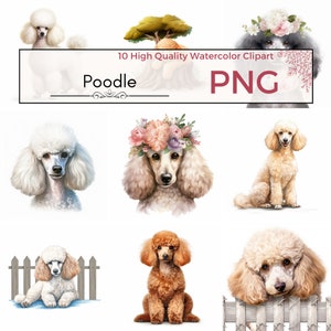Set of 10 - Poodle Clipart, Dog Illustrations, Card Making, Dog Clipart, Poodle Art, Poodle Digital Prints, High Quality PNG, Commercial Use