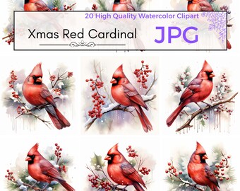 Watercolor Christmas Red Cardinal Clipart, High Quality JPGs, Digital Download, Commercial Use, Christmas Clipart, Holiday Graphics, Prints