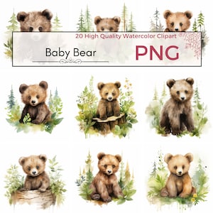 Baby Bär Clipart, hohe Qualität PNG Kinder Clipart Waldtiere Clip Art Bär Sublimation Aquarell Clipart Kartenherstellung, sofortiger download