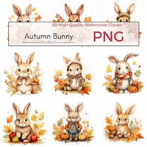 Autumn Bunny Clipart, high quality png fall clipart autumn art cute animal graphics fall png Watercolor clipart Card making Instant download