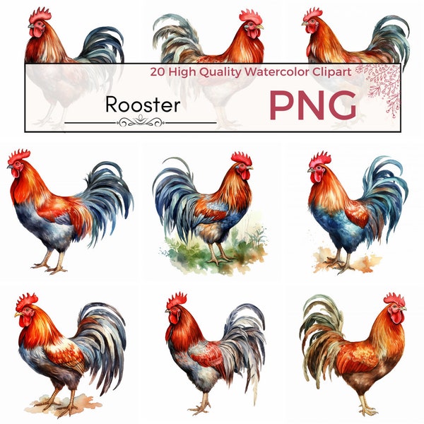 Rooster Clipart, High Quality PNG Farm Animal Clipart, Watercolor Rooster PNG, Western Art Sublimation, Watercolor clipart, Instant download