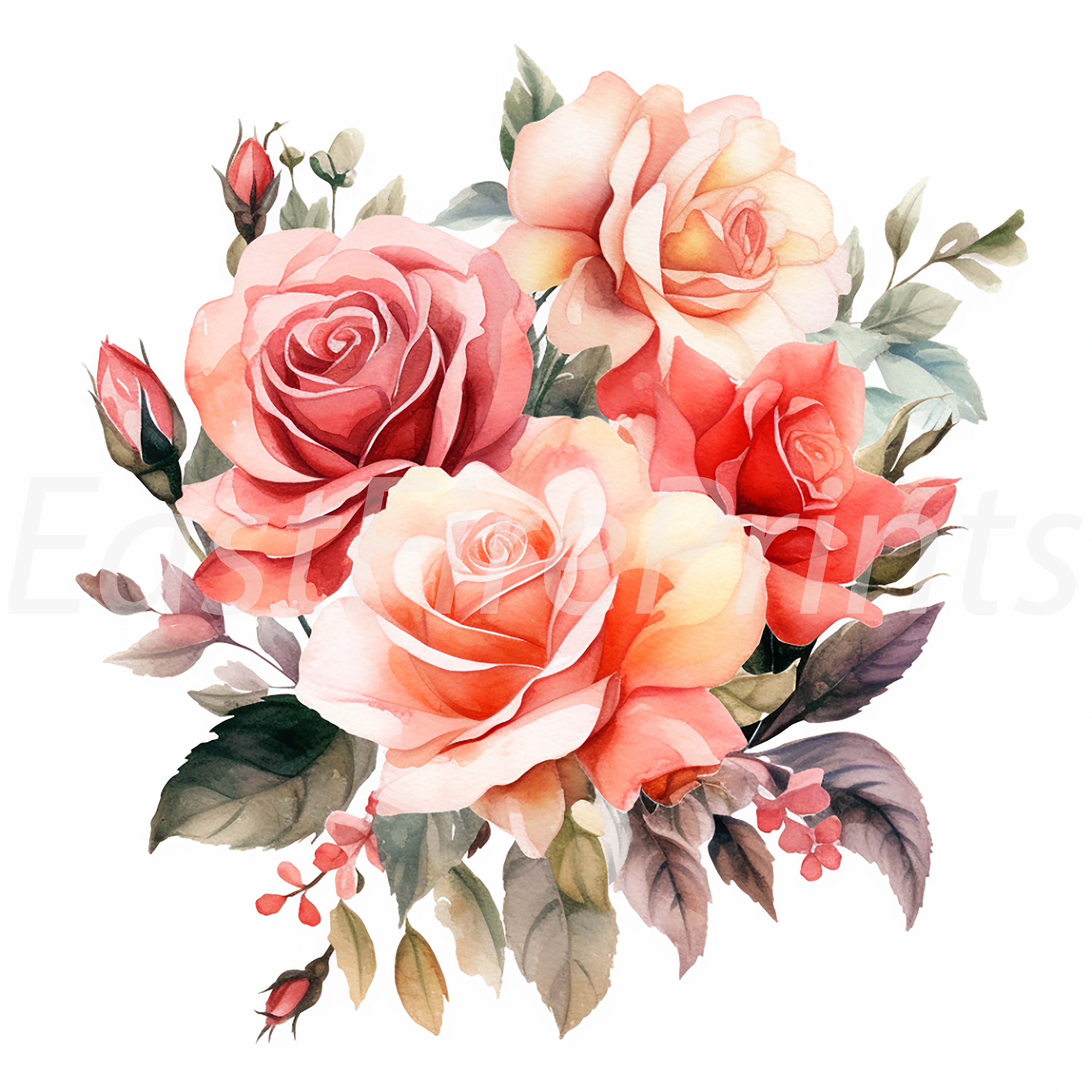 20 Watercolor Roses Bouquet Clipart Bundle Hand-painted - Etsy