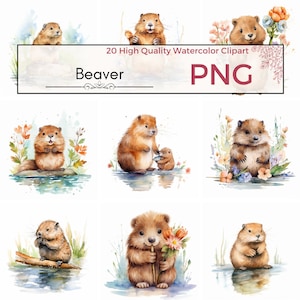 20 Watercolor Beaver Clipart Bundle | Wildlife Illustrations | Digital Download | Commercial Use, PNG, Cute Beaver Clipart, Stickers, Mugs