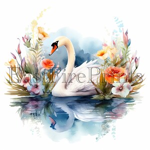 20 Watercolor Swan Clipart PNG | Baby Swan, Bird, Nursery, Printable ...