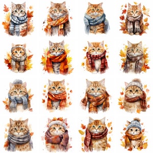 20 Gato com lenço aquarela Clip art, png de alta qualidade, folhas de outono pacote floral de outono para impressão, álbum de recortes de diário, download digital