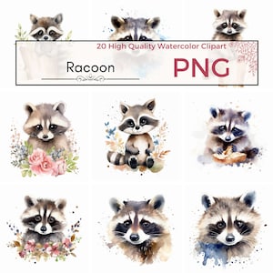 20 aquarelle raton laveur Clipart Set - bébé raton laveur PNG - Clipart pépinière, téléchargement numérique, Clipart Bundle, animaux de la forêt, Wall Art pépinière