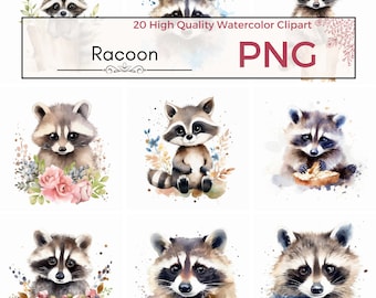 20 Watercolor Raccoon Clipart Set - Baby Raccoon PNG - Nursery Clipart, Digital Download, Clipart Bundle, Woodland Animals, Wall Art Nursery