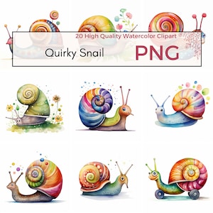Schnecke Clipart, hohe Qualität PNG, Schnecke PNG, Tier Clipart, niedlich und schrullig PNG, Käfer Sublimation, digitaler Download, kommerzielle Nutzung