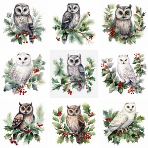 Aquarell niedliche Winter Eulen Clipart PNG, Weihnachten und Winter Clip Art, Vogel Grafiken, scrapbooking, Instant Download für kommerzielle Nutzung