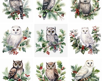 Watercolor Cute Winter Owls Clipart PNG, Christmas and winter clip art, bird graphics, scrapbooking, Instant Download for commercial use
