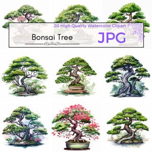 Watercolor Bonsai Tree Clipart, asian clipart tree sublimation tree graphics prints floral Scrapbooking Commercial Use, JPG Digital download
