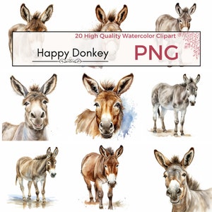 Happy Donkey Clipart, High Quality PNG, Farm Animal Clipart, Sublimation, Digital Paper Craft, Mixed Media, Card making, Instant download