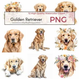 12 個セット - ゴールデン レトリバーのクリップアート、犬のイラスト、カード作成、犬のクリップアート、犬のデジタル プリント、高品質 PNG、商用利用