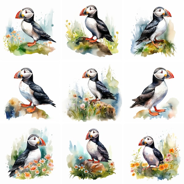 20 Puffin Watercolor Clip art, high quality png, cute bird animal clipart, wall art, Printables, journal, scrapbooking, digital download