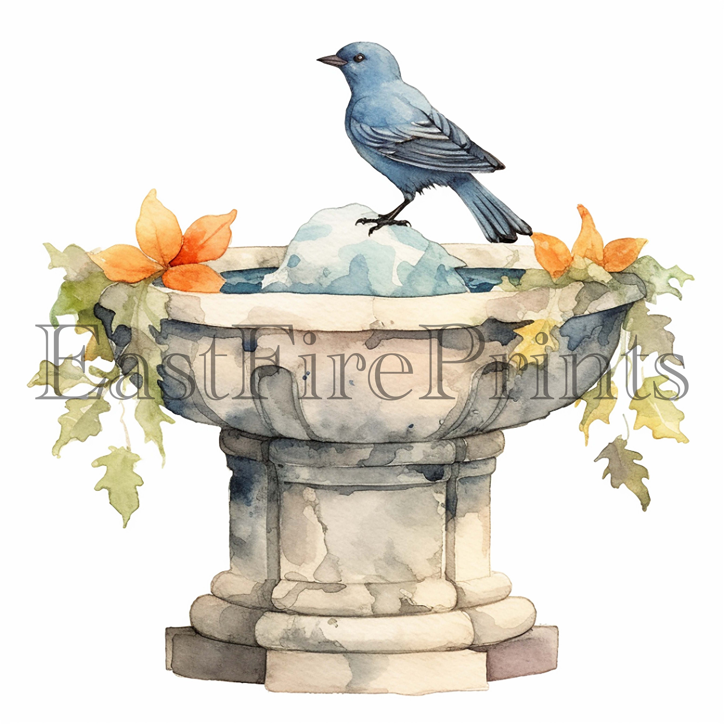 20 PNG Watercolor Birdbaths Clipart Instant Download Bird Etsy