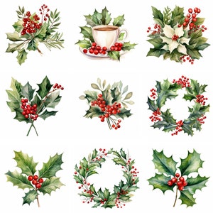 Aquarel Holly Maretak Clipart PNG, winter botanische clip art graphics, Kerstmis en vakantie, instant digitale download commercieel gebruik
