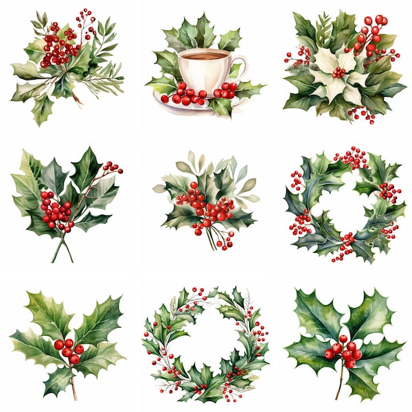 Aquarelle Holly Mistletoe Clipart PNG, hiver botanique clip art graphiques, Noël et vacances, utilisation commerciale de téléchargement numérique instantané