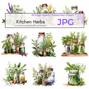 Watercolor Kitchen Herbs Clipart, herbs illustration kitchen decor greenery clipart cottagecore Scrapbooking Commercial Use Digital download