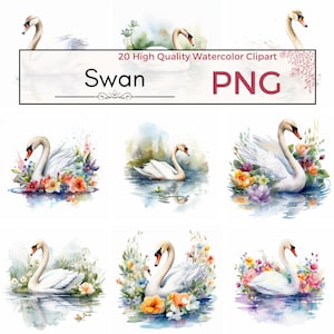 20 Acuarela Cisne Clipart PNG / Cisne Bebé, Pájaro, Vivero, Artes Imprimibles, Descarga Instantánea, Impresiones Digitales, Uso Comercial, Vida Silvestre, Estanque