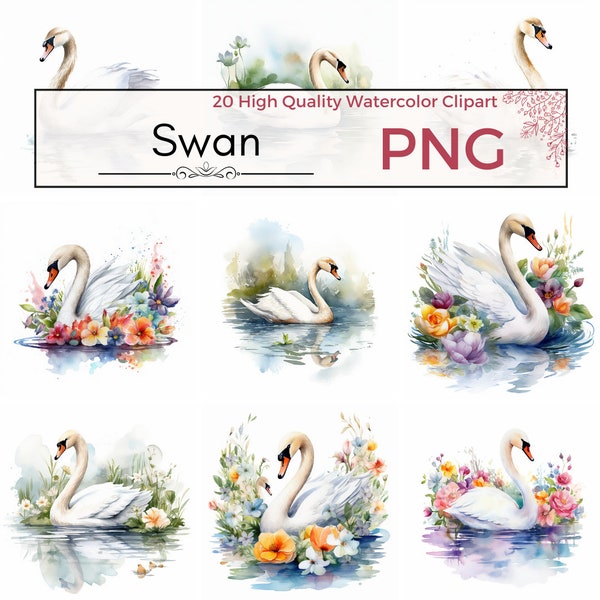 20 Watercolor Swan Clipart PNG | Baby Swan, Bird, Nursery, Printable Arts, Instant Download, Digital Prints, Commercial Use, Wildlife, Pond