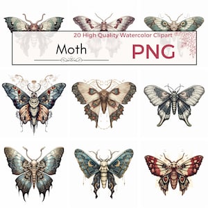 Skull Moth Clipart PNG, death&#39;s head moth clip art, gothic clipart, insect and moth graphics, instant digital download for commercial use