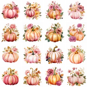 20 Pink Pumpkin Watercolor Clipart, high quality png, floral pumpkin graphics, thanksgiving clip art, fall designs Printables commercial use