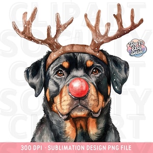 May include: Watercolor illustration of a Rottweiler dog wearing reindeer antlers and a red nose. The dog has black and brown fur and brown eyes. The image includes the text "Top 1% Etsy Seller" and "300 DPI &bull; SUBLIMATION DESIGN PNG FILE".