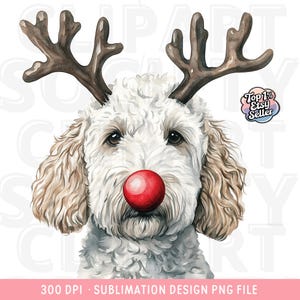 White Goldendoodle Christmas png Design, Watercolor Golden Doodle Png, Holiday Dog Sublimation Design, Tshirt Graphic, Digital Download
