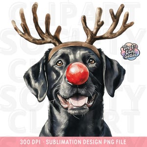Black Lab Christmas PNG Clipart, Christmas Dog PNG, Watercolor Black Lab Reindeer Design, Digital Download for Sublimation, Dog Art