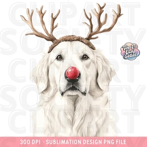 Weihnachten Pyrenäen Hund PNG Clipart, Weihnachtshund PNG, Aquarell Pyrenäen Sennenhund, digitaler Download für Sublimation, süße Hundekunst