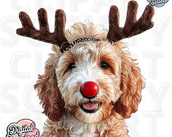 Natal Red Goldendoodle PNG Clipart, Natal Cachorro PNG, Aquarela Goldendoodle, Download Digital para Sublimação, Arte de Cachorro Fofo