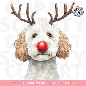 Christmas White Goldendoodle PNG Clipart, Christmas Dog PNG, Watercolor Goldendoodle Digital Download for Sublimation, White Apricot Doodle