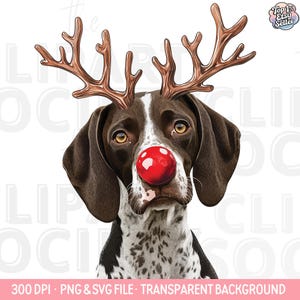 May include: A digital illustration of a dog with brown and white fur, wearing bronze-colored antlers and a bright red nose. The image has the text "Top 1% Etsy Seller" and "300 DPI • PNG & SVG FILE • TRANSPARENT BACKGROUND".