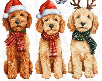 Natal Goldendoodle PNG Clipart, Natal Cachorro PNG, Aquarela Goldendoodle, Download Digital para Sublimação, Arte de Cachorro Fofo
