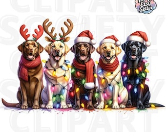 Labrador Retriever Navidad Png, Luces navideñas de Labrador Png, Descarga digital para sublimación, Labrador negro navideño PNG