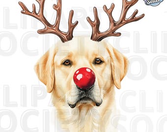 Labrador Christmas PNG Clipart, Watercolor Yellow Labrador Reindeer Design: Digital Download for Sublimation
