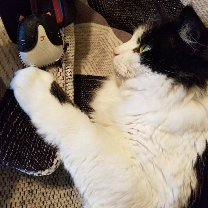 May include: A black and white cat with green eyes is lying on a patterned blanket. The cat is looking to the right of the frame.