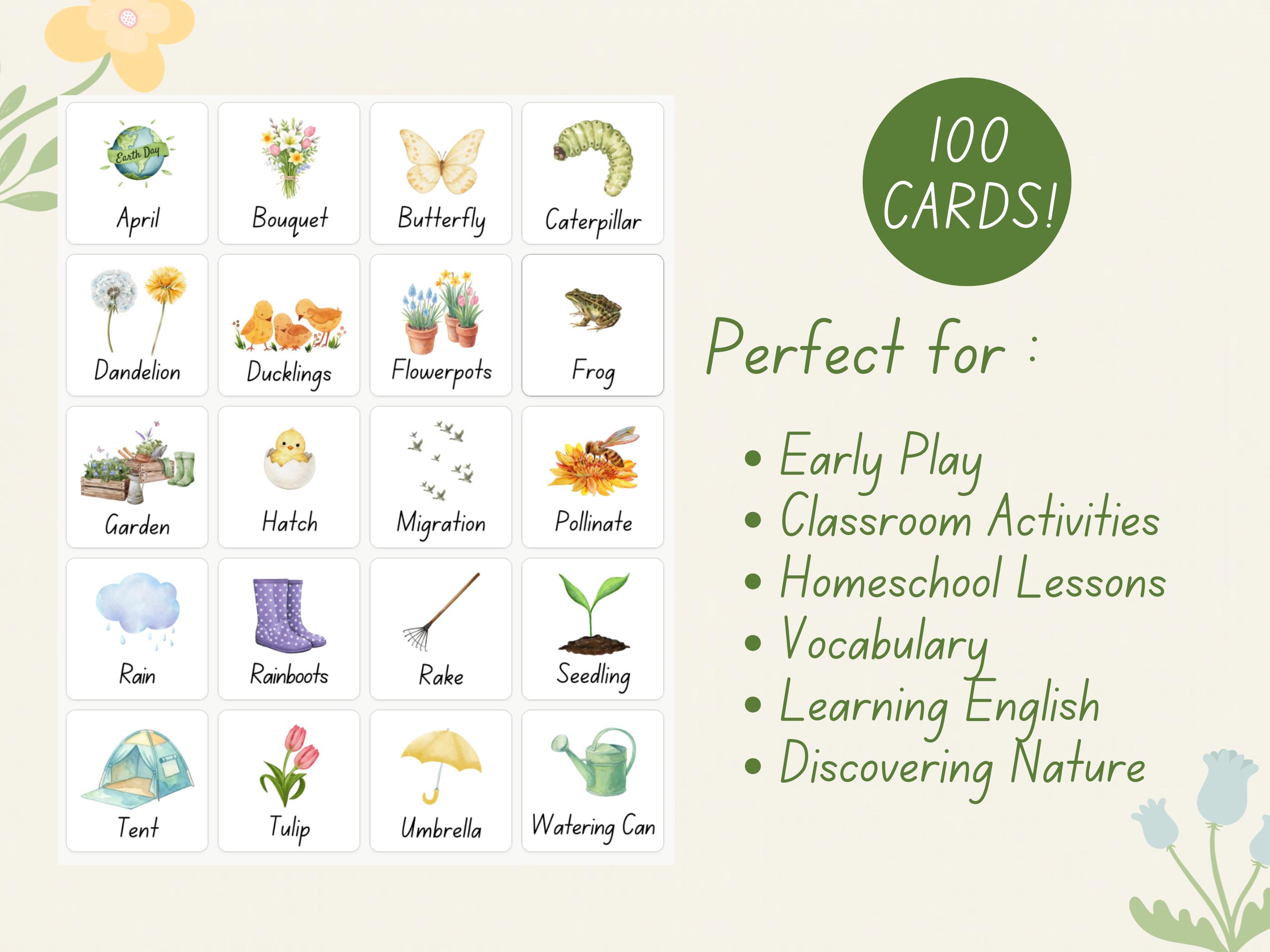 Spring Vocabulary Flashcards | Printable Alphabet Cards | Preschool ...