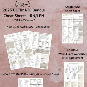 OASIS - E 2023 ULTIMATE BUNDLE *Includes Oasis Soc, Recertification, Re-visit, Bims assessment, extra wound care worksheet*