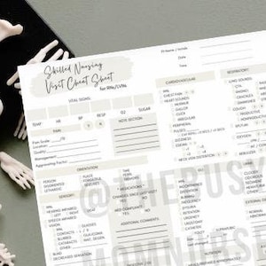 May include: A printable nursing visit chart sheet with sections for vital signs, medications, wound care, and other medical information. The chart is printed on white paper with a light beige background.